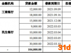 中国宝安“借钱还债”：拟发行10亿元公司债偿还银行贷款