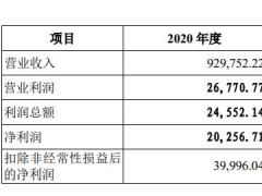 万凯新材回复第二轮问询：去年净利润陡降40% 虚开发票、违规转贷成内控硬伤