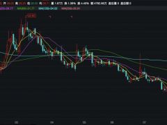 上半年业绩预亏！股价下挫超三成，立华股份募资能否开启新周期？