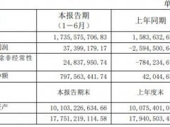 力帆科技上半年营收17.36亿元 新车业务表现不佳 副总会计师受重罚