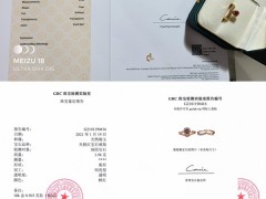 顶流珠宝主播“裙子姐姐”销售“套证”产品遭维权：年销20亿元 鉴定证书造假或涉伪造印章犯罪