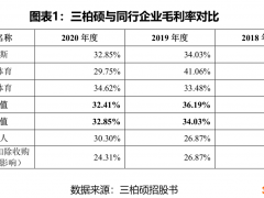 三柏硕系列报告之四：以代工为主，自主品牌几无建树，能否称作蹦床龙头？