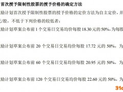 曼卡龙股权激励定价存明显失误 律所、独董、财务顾问一路绿灯存疑