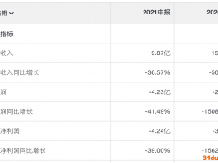 南国置业：上半年三费大增，营收利润双降