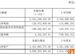 惠而浦增收不增利：二季度净利亏损1.04亿元扩大11倍，格兰仕正式“入主”