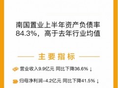 南国置业：上半年归母净利润亏损4.2亿元
