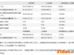 增收不增利！劲仔食品上半年净利润下滑35.66%