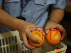 蜜雪冰城、奈雪的茶……奶茶店又出问题！同品牌长春有几十家！