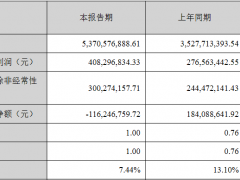 安克创新发半年报股价跌5.6% 净利增长经营现金流为负