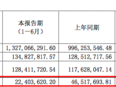 麒盛科技：现金流降51.84%至2240万元
