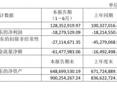 亚振家居：上半年亏损1827.95万元