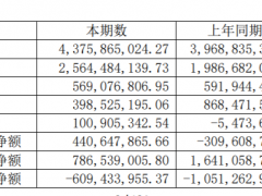 大商股份：上半年投资现金流下降52.07%，归母净利润4.98亿元