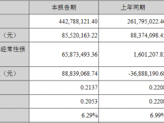 南大光电发半年报股价跌5.8% 增收不增利ROE下降