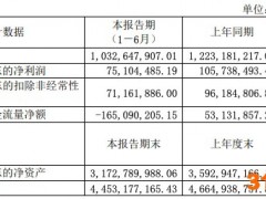 红豆股份上半年营业收入超10亿元，防疫物资投入2.75亿元