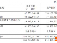 泛亚微透上半年利润增长92.26% 年内董秘董事相继辞职