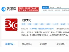 子公司虚假转让投资份额收益权 ST北文拟遭行政处罚