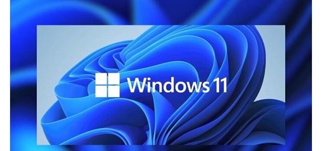 Windows 11 新 bug 导致安全中心部分功能打不开