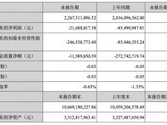 青岛双星：上半年归属股东净利