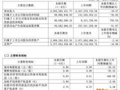ST维维：上半年实现营收20.35亿元，同比降19.47%