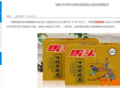 湖南丽臣招股书信息披露与官网描述存在差异，被质疑粉饰不利信息