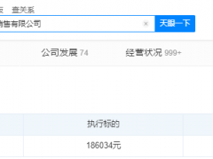 百威集团中国销售有限公司成被执行人 起因劳动争议