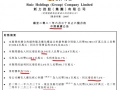 新力上半年收入同比增长28.9% 毛利率下降8.5个百分点