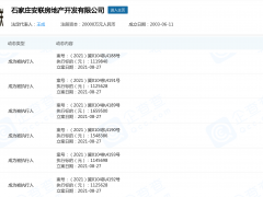 石家庄安联房地产单日新增6条被执行人信息，标的总额逾770万