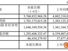 中泰证券上半年营收净利均增2成 员工薪酬总额增34%
