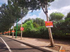 以租代售，兴建别墅：哈尔滨养老惠民项目“变了味”