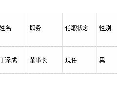 亚厦股份现场检查4宗违规 董事长丁泽成等4人收警示函