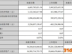 居然之家上半年净利增172% 负债率上升总负债368亿元