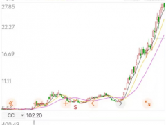 股民炸锅！手机分销龙头拟参与收购某手机品牌 股价先暴涨267%！深交所：是否信息泄漏？