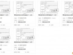 近亿股流拍 贾跃亭兄弟所持4410万股乐视网股票拍出8000多万