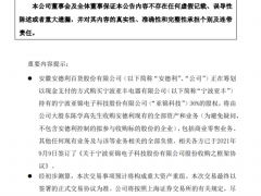 南孚电池借壳百货公司上市？交易所问询函关注3大问题