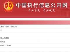 金瓜子科技被列为被执行人 为瓜子全资子公司