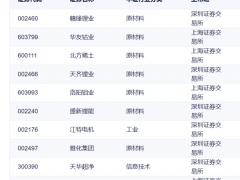 多只大跌基金重仓新能源，公募基金第一大重仓“宁王”不宁，竟因公众号文章发威？基金经理如何看