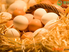 2021年4月鸡蛋价格多少钱一斤？鸡蛋价格走势分析