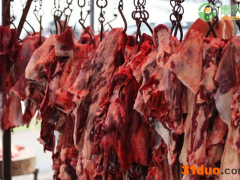 今日牛肉价格多少钱一斤？牛肉价格何时下跌？