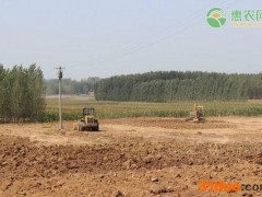 农村土地承包经营权可以转让吗？有哪些条件？