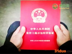 确权证和宅基地证有什么区别？