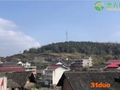 农村宅基地确权后还能更改名字吗？需要提交什么材料？