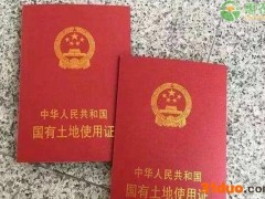 2021年山西宅基地证下发时间