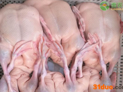 2021年4月鸭肉价格最新行情及走势预测