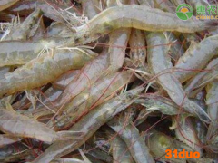 2021年4月份各地水产价格最新行情