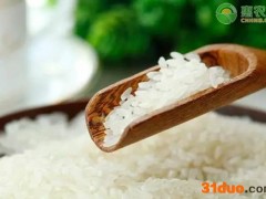 4月大米价格多少钱一斤？最新行情走势是怎样？