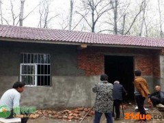 2021清明节前后羊肉价格行情预测