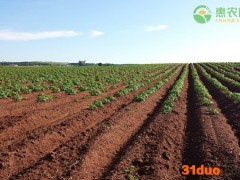 2021土地征收补偿费标准