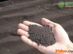 2021油菜籽价格最新行情怎么样？