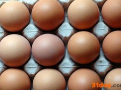 2021年清明节前后鸡蛋价格最新行情及走势