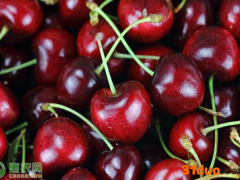 现在樱桃价格多少钱一斤？樱桃价格为何跌了？